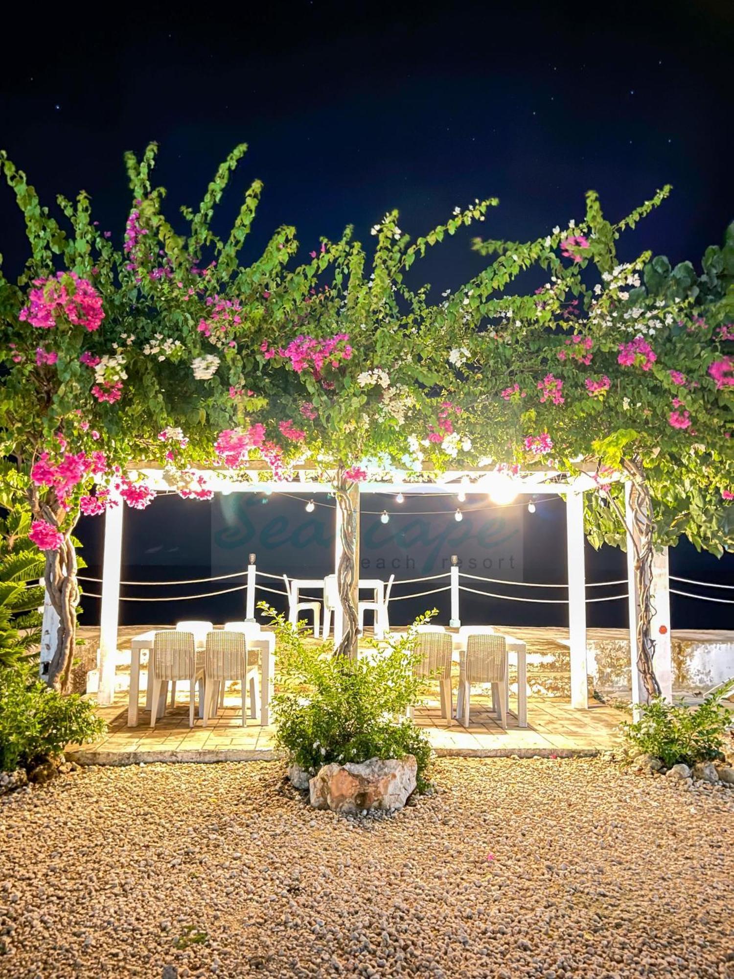 Seascape Beach Resort Oslob Ngoại thất bức ảnh